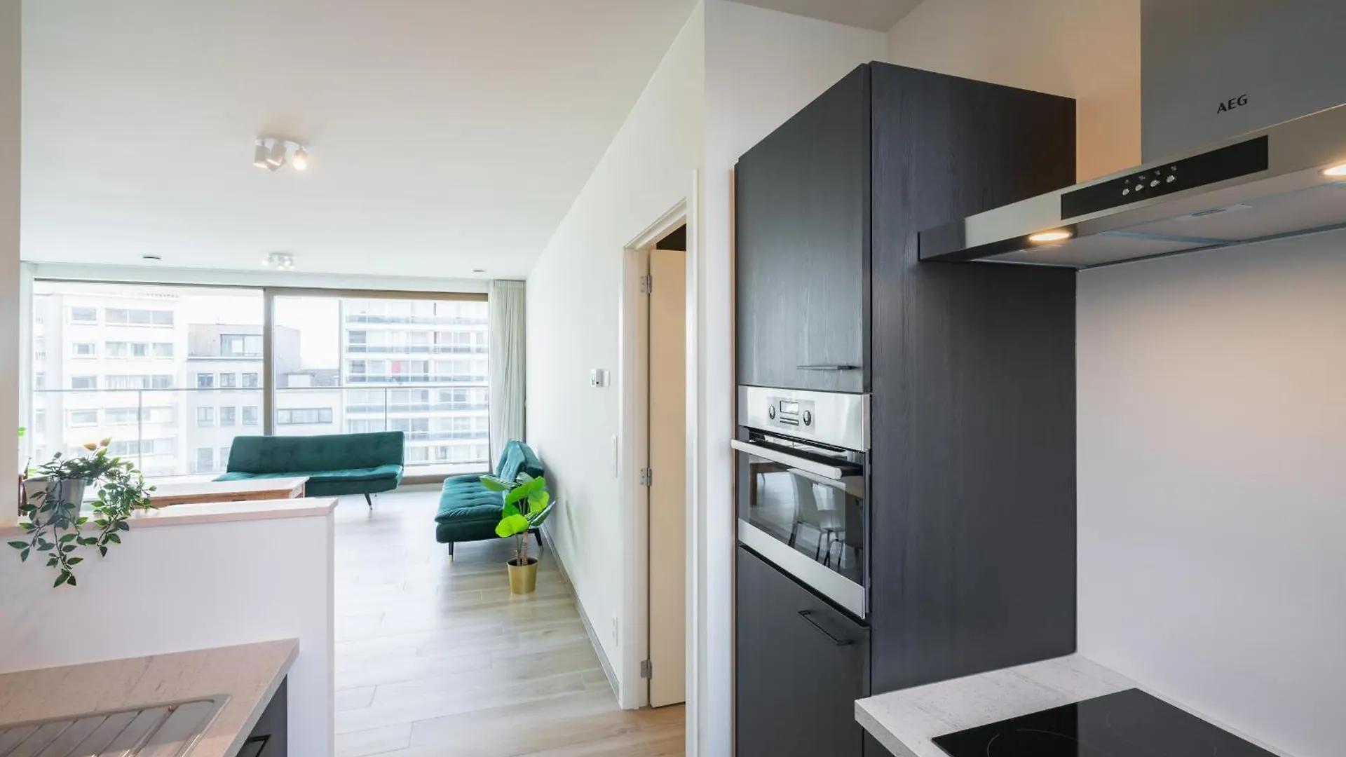 Opera Square Apartments In Antwerp Centre